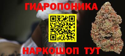 PSILOCYBIN Бийск